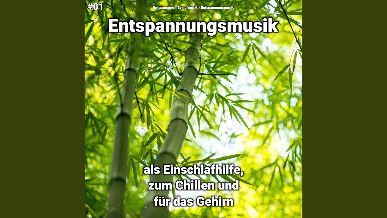 Wellness Musik YouTube