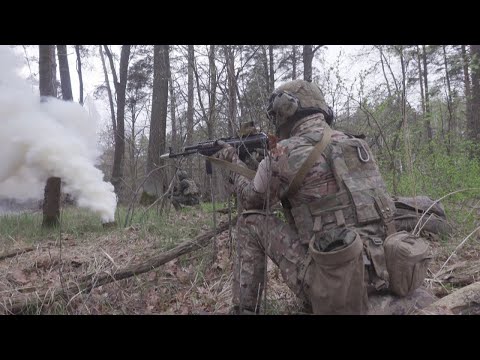 Video: Ushtria rezervë e Ukrainës dhe Rusisë