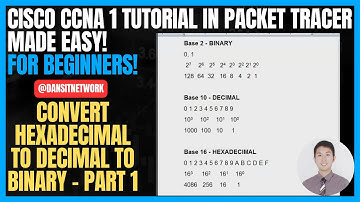 Day 11: How to Convert Hexadecimal to Decimal to Binary - Part 1