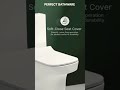 PERFECTO SYPHONIC 6D One Piece Closet PERFECT BATHWARE