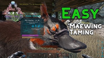 Ark How to Tame a Maewing [Maewing Trap + Preferred Kibble]