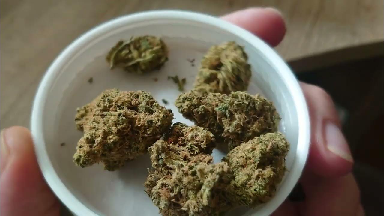 Enua Cold Creek Kush 25/1 Strain Exploring (activity) YouTube