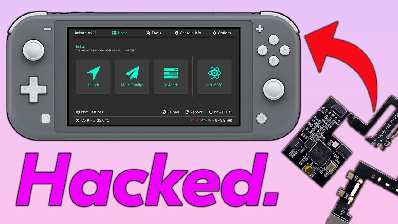 C*t様 Nintendo Switch Lite グレー 本体（Lボタン不可動 switch_lite_r-button_l-