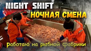 Ночная Смена Работаю На Рыбной Фабрике В Норвегии Упаковка Рыбы Икра Рыбьи Головы 