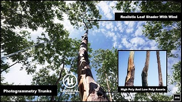 Realistic Trees, Plants, Grass, Environment Unreal Engine_dviz