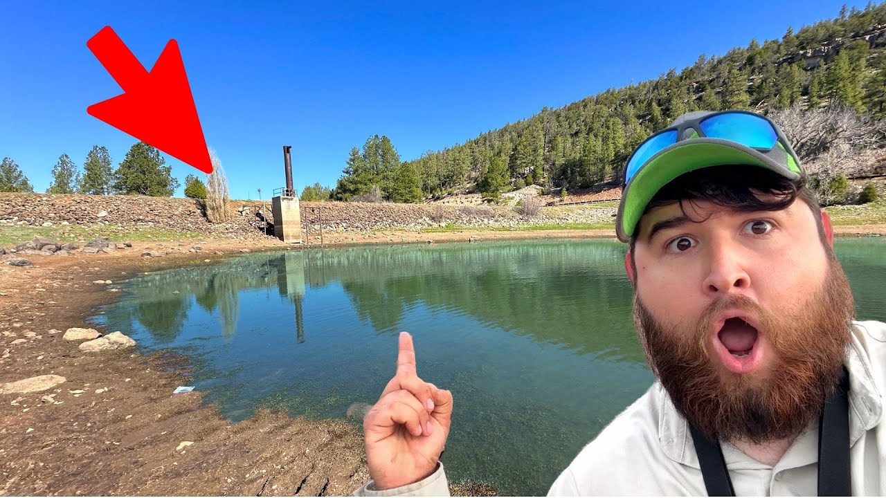 Есть ли в этом горном озере чудовищные рыбы? (ДИКАЯ)