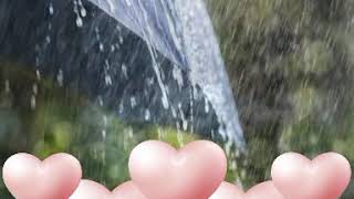 فيروز رجعت الشتوية ☔☔☔