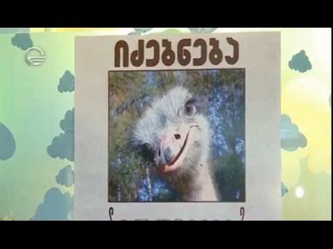 სირაქლემები სამკაულებს იპარავენ