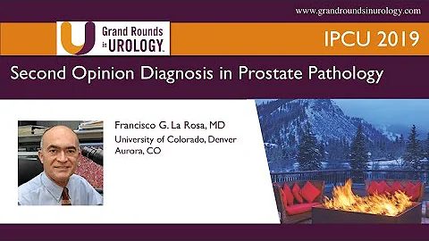 Second Opinion Diagnosis in Prostate Pathology