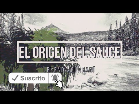 Video: ¿Dónde se originó el sauce llorón?