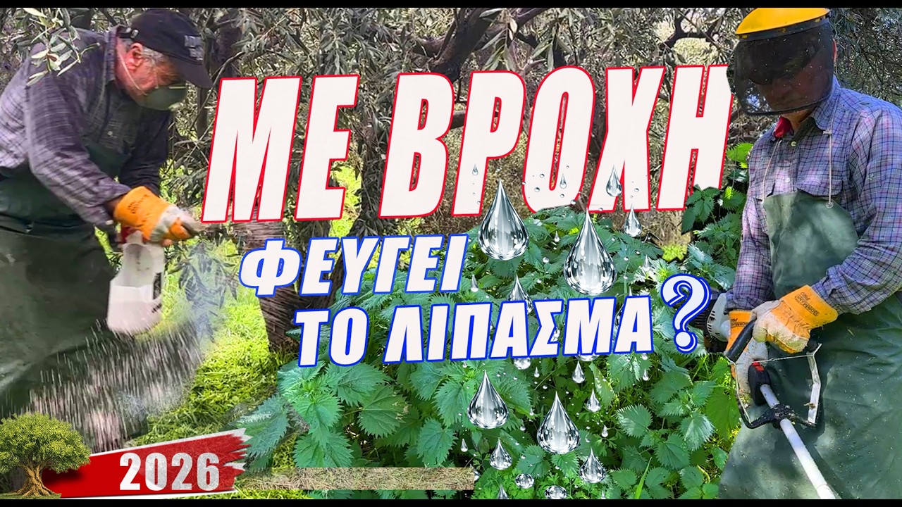 ΛΙΠΑΣΜΑ ΜΕ ΠΟΛΥ ΒΡΟΧΗ