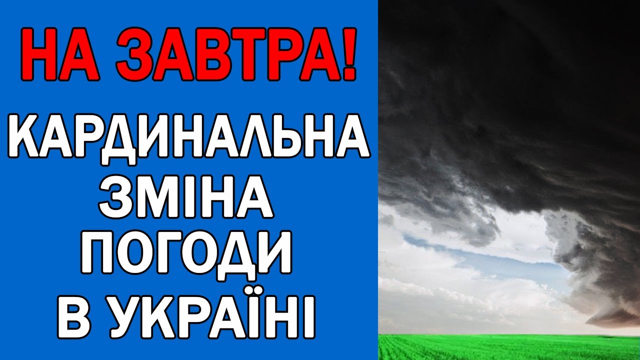 Погода на завтра моторное
