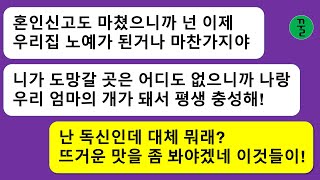 [시모 모음집]  혼인신고를 끝내자마자 노예계약을 했다고 들떠서 좋아하던 시모와 남편,며느리를 개보다 못한 취급하는 인간들한테 뜨거운 맛을 보여주기로 했는데…