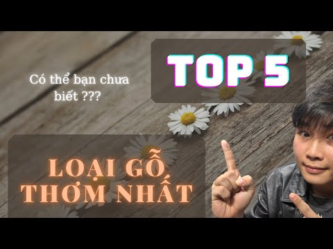 Video: Gỗ có thể kéo dài bao xa?