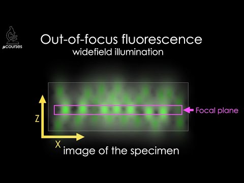 The Confocal Principle