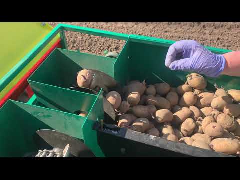 Video: Stādāmā Traktora Stādītājs: Veidi Un Darbības Princips. Kāda Ir Atšķirība Starp ķiploku Stādītāju Un Kartupeļu Stādītāju? Modeļu Pielāgošana