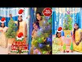 Christmas tree decoration ideas christmas tree step by step decorate christmas tree making at home