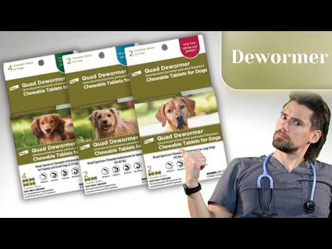 Deworm your dog today!  Quad dewormer by Elanco. thumbnail