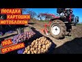 ПОСАДКА КАРТОФЕЛЯ МОТОБЛОКОМ ПОД ОКУЧНИКИ, ЛЁГКИЙ СПОСОБ ПОСАДИТЬ КАРТОШКУ