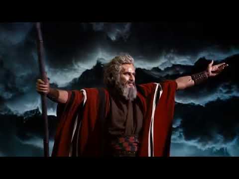 የሙሴ ታሪክ 40