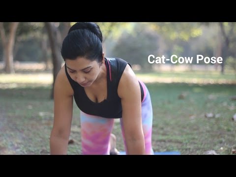 Cat-Cow Pose - Marjari asana & Child’s Pose - Balasana Beginners Yoga for back pain │SIM Komal Yoga