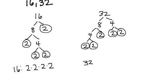 LCM GCF Factor Tree 6 NS 4