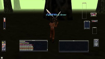 Lets play a little Project 1999 Druid edition