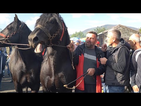 Video: Ožujski praznici i događaji u Sjedinjenim Državama