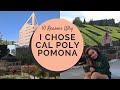 10 Reasons Why I Chose Cal Poly Pomona