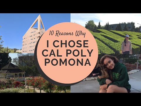 10 Reasons Why I Chose Cal Poly Pomona