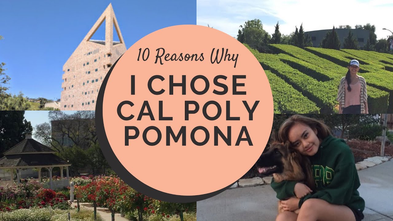What Is The Acceptance Rate For Cal Poly Pomona?