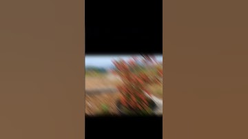 Tugas video cinematic P5