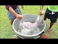 Cooking a 10 Kg Goat In My Village - Mutton Kulambu Recipe - Cooking Skill Village Food Channel