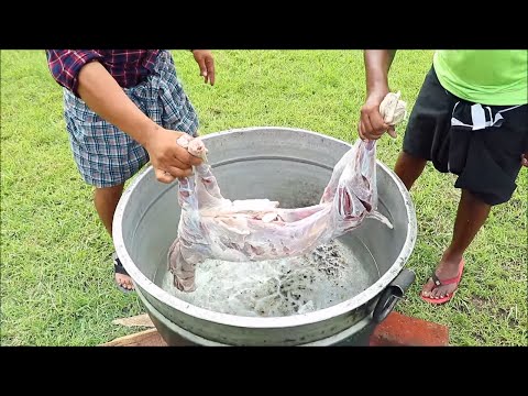 cooking-a-10-kg-goat-in-my-village---mutton-kulambu-recipe---cooking-skill-village-food-channel