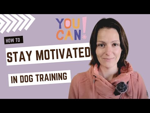 Videó: Vesztes érdeklődés a kutya képzésében? Itt van, hogyan kell maradni motivált