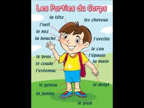 J0864 Structure Du Corps Humain Anatomie Tableau Pop 14x21