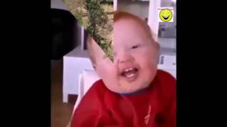#15 Подборка приколов Ноябрь 2015 года ( часть 15 ) Самые ржачные видео . A selection of jokes 2015 #15 Подборка приколов Ноябрь 2015 года ( часть 15 ) Самые ржачные видео . A selection of jokes 2015