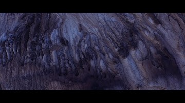 Leaves & Trees - Bridges and Borders (Official Video HQ)