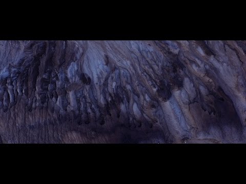 Leaves & Trees - Bridges and Borders (Official Video HQ)