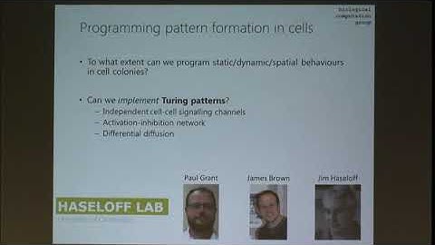 Dr. Neil Dalchau | Systems Biology Research at Microsoft