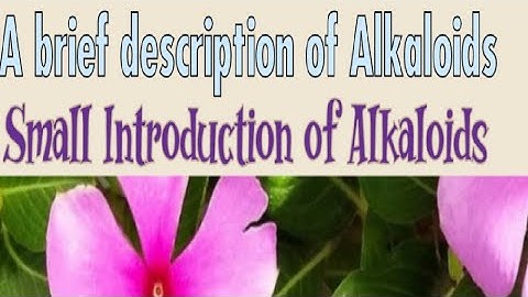 Introduction of Alkaloids, Alkaloids definition and structure, some pharmacological properties of it