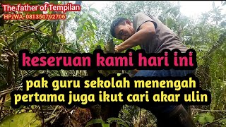pencarian akar ulin buat gagang mandau