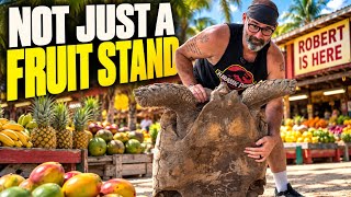 South Florida's STRANGEST Turtle Destination