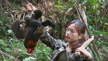 Detect wild chickens and set traps to catch them, wild survival alone