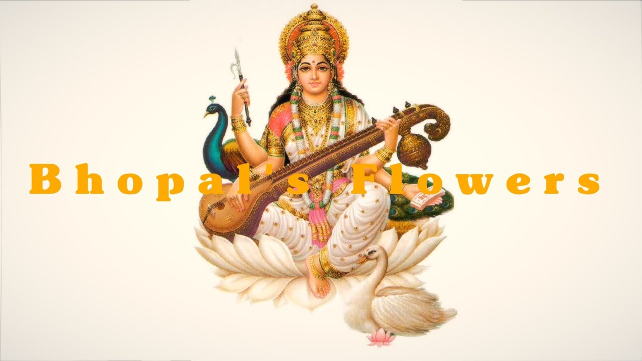 Bhopal's Flowers Summertime YouTube