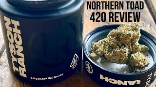 Mike Tysons Northern Toad By Tyson Ranch Strain Review