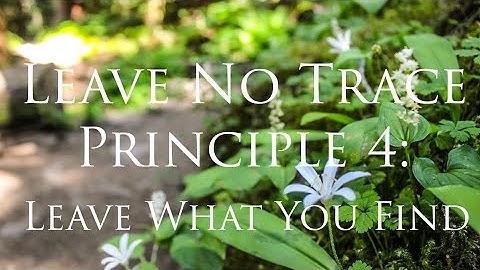 Leave No Trace: Leave What You Find