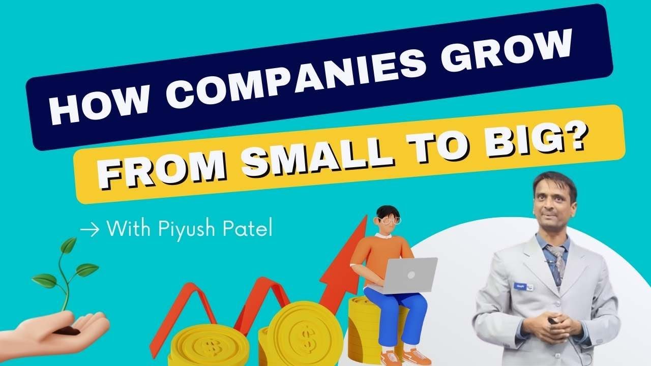 How Companies Grow From Small To Big? | Piyush Patel
