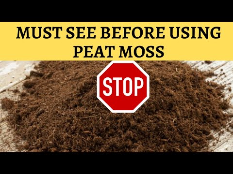 Peat Moss - WHY NOT TO USE in gardening