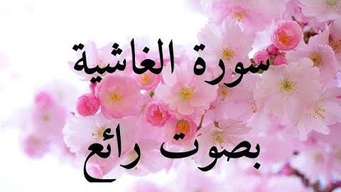 سورة الغاشية (بصوت رائع)